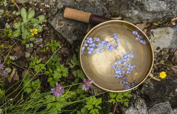 Cuenco Tibetano Hecho Siete Metales Con Flores Que Olvidan Flotando —  Fotos de Stock