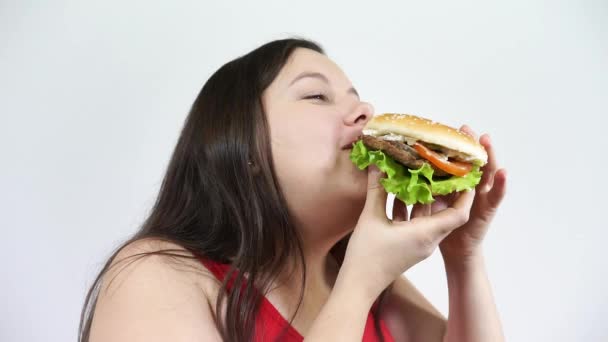 Las mujeres obesas están contentas con comer hamburguesas. Chica gorda, comida chatarra y sonrisas . — Vídeos de Stock