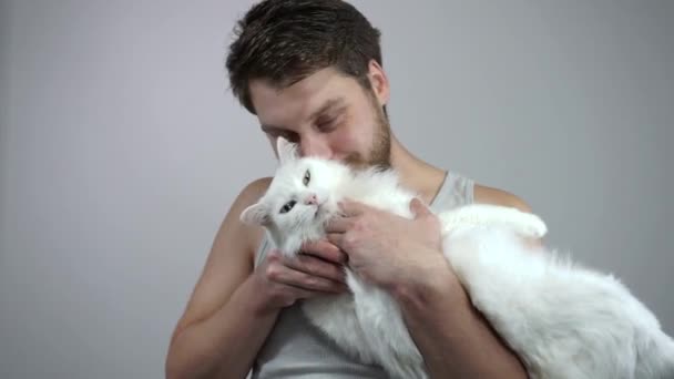 Bearded guy kisses her beloved cat with different eyes.Heterochromia — Stock Video