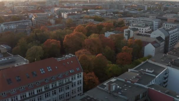 AERIAL: Let přes barevné koruny stromů v podzimních barvách Červená, oranžová a žlutá v Berlíně, Německo při krásném západu slunce, sluneční svit — Stock video