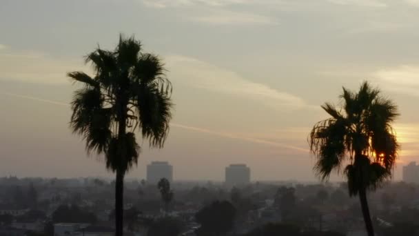 AERIAL: Acercamiento de dos palmeras en Sunlight, Sun Flair en Venecia, California, Sunset , — Vídeos de Stock