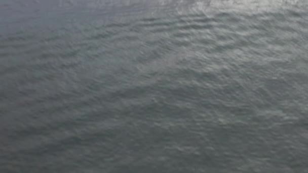 AERIAL: До Венеційського пляжного скейтпарку з океану з водою, хвилі вранці, Cloudy Los Angeles, California — стокове відео