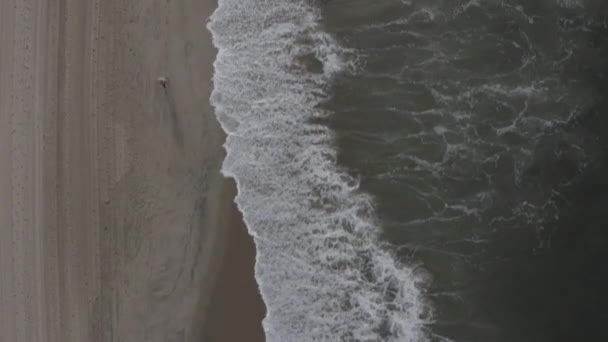 AERIAL: Madárnézet hullámokon, víz a tengerparton Velencében, Los Angeles, Kalifornia — Stock videók