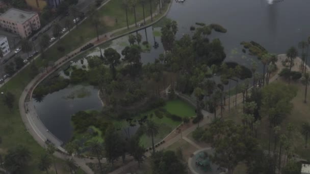 AERIAL: Over Echo Park in Los Angeles, California with Palm Trees, Cloudy — 图库视频影像
