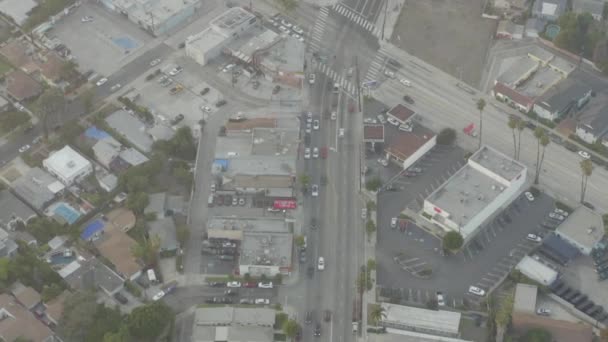 AERIAL: Drukke straat met auto 's in Venetië, Californië met palmbomen in het zonlicht, — Stockvideo