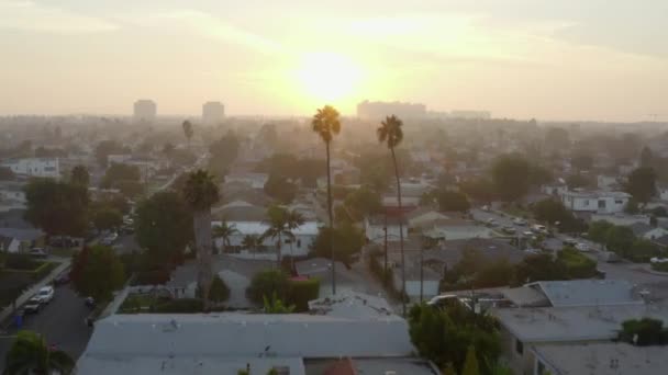 AERIAL: Flyg över två palmer i solljus, solnedgång i Venedig, Kalifornien, — Stockvideo