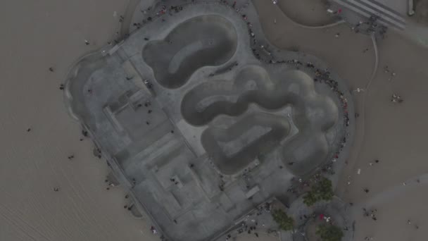 AERIAL: Birds View down on Venice Beach Skatepark with Visitors, Skaters and Palmtrees, Sunset Skating in Los Angeles, Καλιφόρνια — Αρχείο Βίντεο