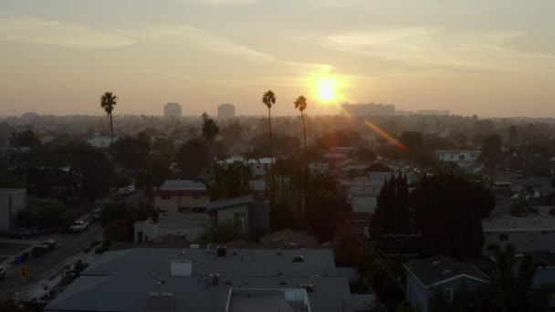 AERIAL: Voo entre duas palmeiras na Sunlight, Sunset em Veneza, Califórnia , — Vídeo de Stock