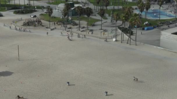 AERIAL: Політ на скейтпарк Венеція-Біч з пальмами та велосипедною доріжкою, Санні, Лос-Анджелес, Каліфорнія. — стокове відео