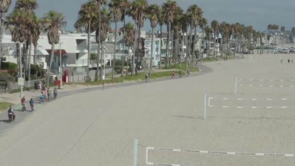 AERIAL: 야자나무와 자전거 전용 도로, 로스앤젤레스 Sunny, Venice Beach 에서 배구 그물을 가지고 해변을 비행하는 모습 — 비디오