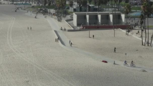 AERIAL: Circiling around Venice Beach skatepark and board walk with palm trees and bike lane, Sunny, Los Angeles California — Stock video