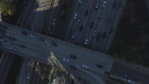 AERIAL: Widok z lotu ptaka na centrum Los Angeles, California skrzyżowania ruchu z palmami i Skyline niebieskie niebo i słoneczny dzień — Wideo stockowe