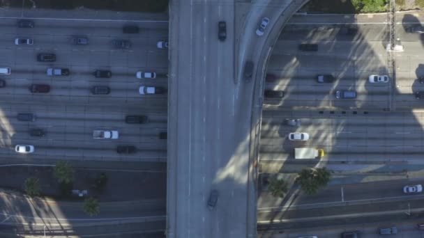 AERIAL: Vista de aves del centro de Los Ángeles, California tráfico de intersección con palmeras y cielo azul Skyline y día soleado — Vídeo de stock