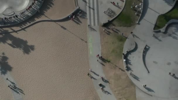 AERIAL birds view flight over Venice Beach skatepark with palm trees and beatiful shadows, Sunny, Los Angeles Califórnia — Vídeo de Stock