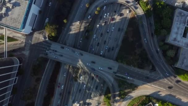 AERIAL: Birds eye view of Downtown Los Angeles, Californië kruispunt verkeer met palmbomen en Skyline blauwe hemel en zonnige dag — Stockvideo