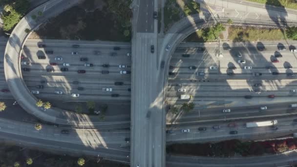 AERIAL: Vista de aves del centro de Los Ángeles, California tráfico de intersección con palmeras y cielo azul Skyline y día soleado — Vídeos de Stock