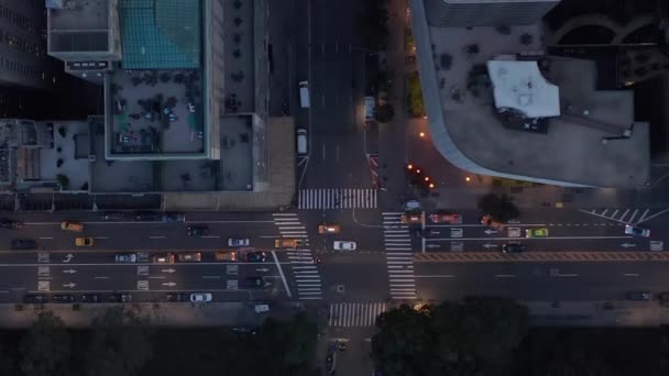 AERIAL: 번잡 한 자동차 교통 과 함께 센트럴 파크에 있는 뉴욕 시 도로를 바라본 새들 — 비디오