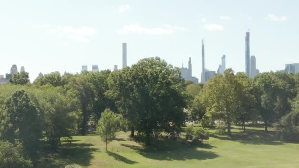 AERIAL: Schöner Blick auf den Central Park mit See und Manhattan Skyline im Hintergrund an einem sonnigen Sommertag, New York City — Stockvideo