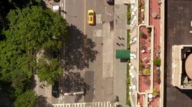 Güzel güneşli bir yaz gününde New York City caddesinin Centrall Park 'taki kuşların manzarası. 