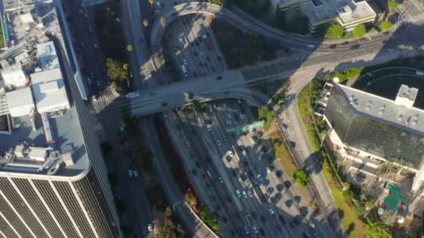 AERIAL: Birds eye view of Downtown Los Angeles, California διασταύρωση κυκλοφορίας με φοίνικες και Skyline μπλε του ουρανού και ηλιόλουστη μέρα — Αρχείο Βίντεο