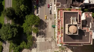 Güzel güneşli bir yaz gününde New York City caddesinin Centrall Park 'taki kuşların manzarası. 