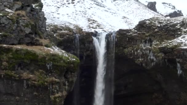 AERIAL: Sneeuwravijn met paarden in IJsland Groene Gras, Sneeuw, IJs — Stockvideo