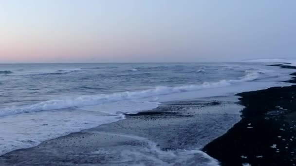 AERIAL: Flying over Black Beach with white arctic snow mountains in background in Iceland in Winter Snow, Ice, Waves, Water — Stock Video