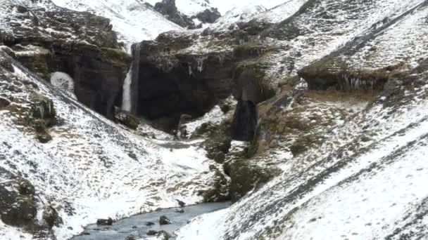 AERIAL: Snö Canyon med hästar på Island grönt gräs, snö, is — Stockvideo