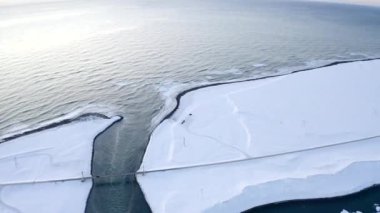 İzlanda 'nın Kara Sahili' ndeki Beyaz Kar Kışının Kuşları: