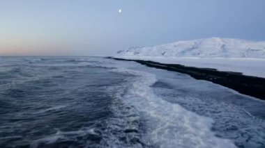 İzlanda 'da kar, buz, dalga, su gibi arka planda beyaz arktik kar dağlarıyla Kara Kumsal üzerinde uçmak