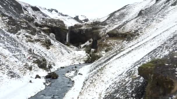 AERIAL: Snow Canyon with Horses in Iceland Green Grass, Snow, Ice — 비디오