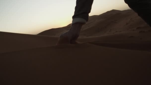 SUPER SLOW MIIION: PICKING UP SAND OF SAHARA DESERT IN BEAUTIFUL SUNSET LIGHT — стоковое видео