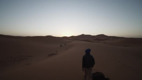 SLOW MOTION: MAN WITH TURBAN AND CAMEL ON LEASH WALKING TROUGH DESERT IN SUNRISE LIGHT — Stock Video