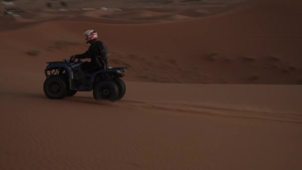 サンセットライトのサハラ砂漠で砂丘をドライブするATV QUAD — ストック動画