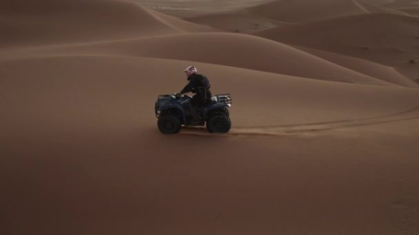 SLOW MOTION: quad quad ATV jazdy nad obiadem w SAHARA DESERT w świetle SUNSET — Wideo stockowe