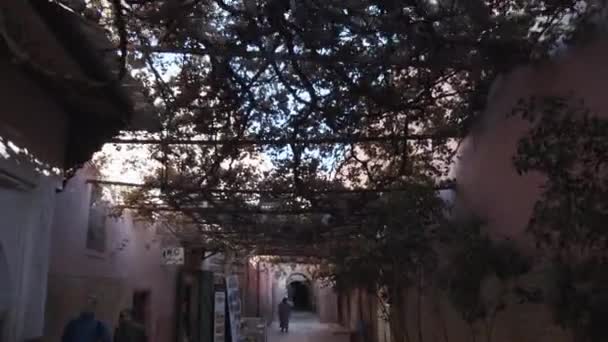 STREET IN MARRAKECH, MORROCO MIT SCHÖNEN PFLANZEN, DAS DÄCHER TOPS SONNTAG — Stockvideo