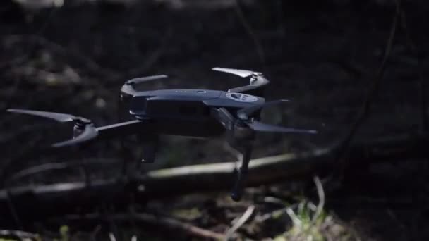 DJI Mavic İnsansız Hava Aracı Tozlu güneş ışığında Orman 'a indi — Stok video