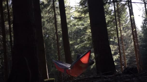 Jovem cara deitado em laranja rede entre duas árvores na floresta com bela luz de verão — Vídeo de Stock