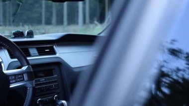 Siyah Ford Mustang Araç İçi Pencere Kapalı, Gün Işığı, Orman Sokağı 