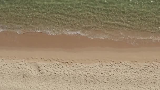 AERIAL: Beautiful Generic Tropical Beach Overhead Shot, pohled z ptačí perspektivy na oceánské vlny narážející shora na prázdnou pláž — Stock video