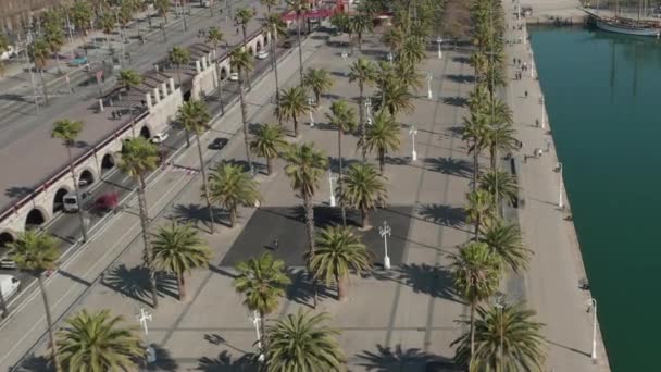 AERIAL: Vuelo lento a lo largo de los muelles de agua en Barcelona, España con palmeras en un hermoso día soleado — Vídeo de stock