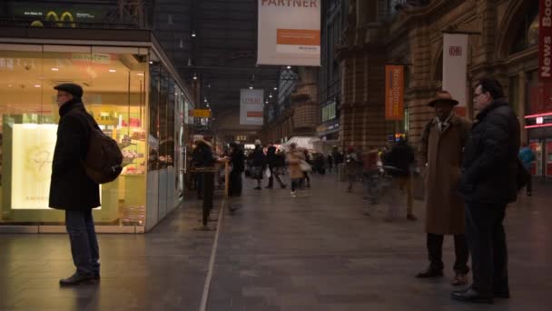TIME LAPSE: Центральный вокзал торгует людьми с чемоданами, поезда прибывают во Франкфурт-на-Майне, Германия в закрытых помещениях, путешествия, транспорт — стоковое видео