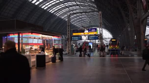 中央駅交通スーツケースを持って通過する人々,フランクフルトに到着した列車は、メイン午前,ドイツ室内,旅行, Hauptbahnhof — ストック動画