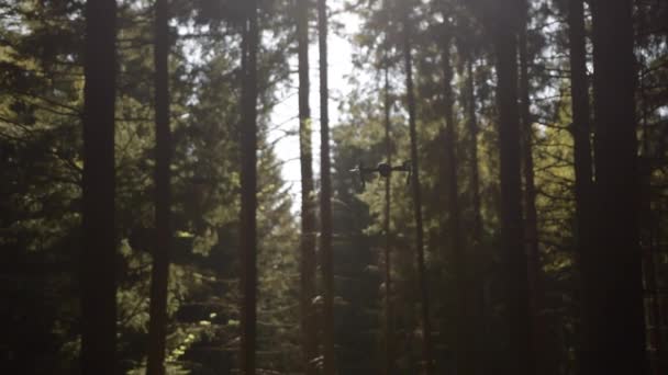 SLOW MOTION: DJI Mavic Drone αιωρούμενο στο σκονισμένο ηλιακό φως του δάσους — Αρχείο Βίντεο