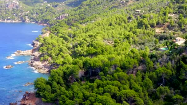 AERIAL: Sobre la línea de costa hermosa de la isla tropical Mallorca, España con el océano y el agua azul en verano, Vacaciones de día, Viajar, Soleado, Olas — Vídeo de stock