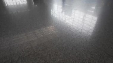 İş Adamları ve Bavullarla Yoğun Havaalanı Ana Salonu 