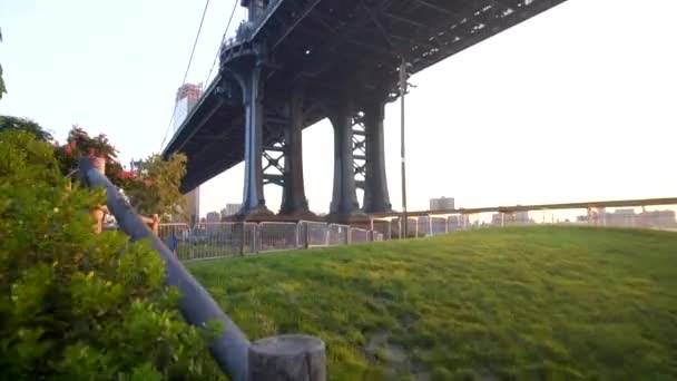 Utsikt från under Brooklyn Bridge i New York USA på soliga dagen grönt gräs med solljus — Stockvideo