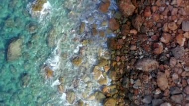 Kahverengi Kum, Su, Dalgalar ve Orman Ormanı Tatili, Seyahat, Güneşli, Okyanuslu Güzel Renkli Kuşlar 