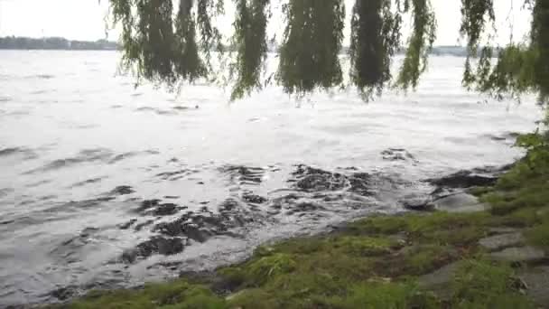 Ondas em Grass Hill of Lake no dia nublado na Alemanha Natureza — Vídeo de Stock