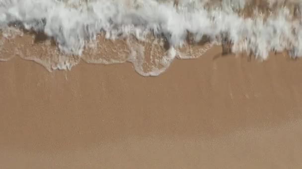 АЭРИАЛ: Пляжный навес, вид с высоты птичьего полета на океанские волны, ударяющиеся о пустой пляж сверху — стоковое видео